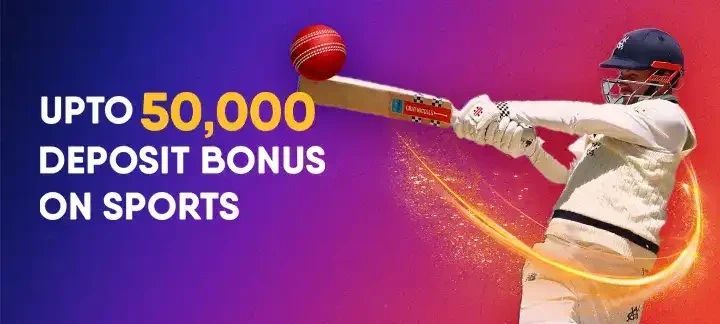bingo 101 cricket